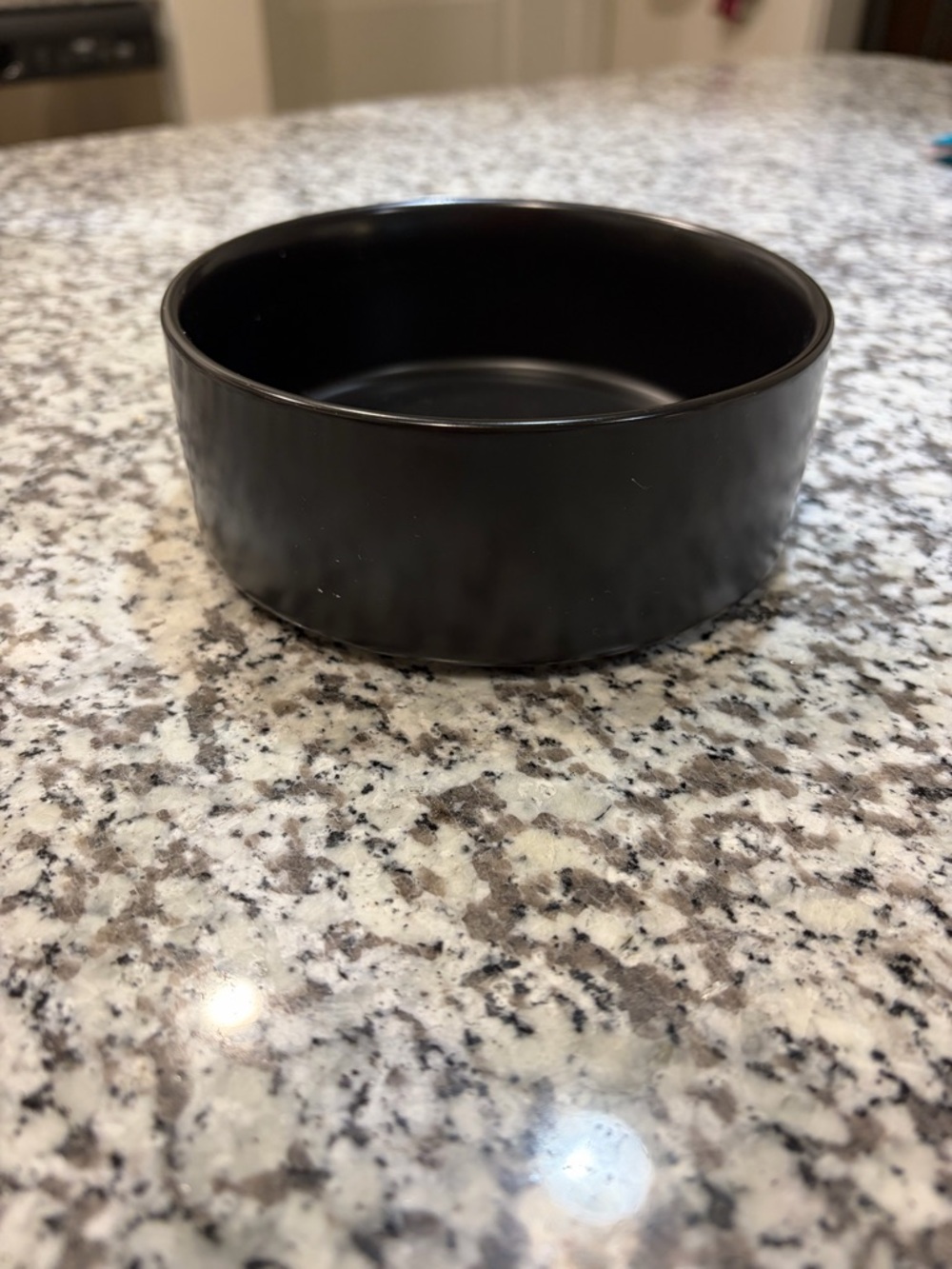 Matte Black Ceramic Food/Water Bowl